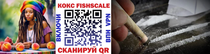 COCAIN Fish Scale  KRAKEN зеркало  Волгореченск 