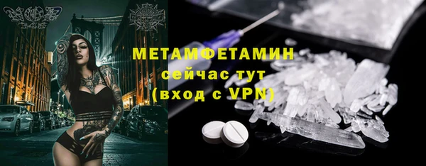 ГАЛЛЮЦИНОГЕННЫЕ ГРИБЫ Богданович