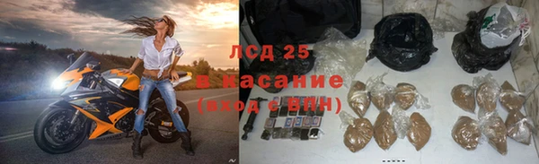 ГАЛЛЮЦИНОГЕННЫЕ ГРИБЫ Богданович