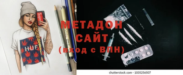 ГАЛЛЮЦИНОГЕННЫЕ ГРИБЫ Богданович