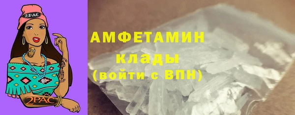 ГАЛЛЮЦИНОГЕННЫЕ ГРИБЫ Богданович