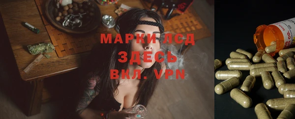 ГАЛЛЮЦИНОГЕННЫЕ ГРИБЫ Богданович