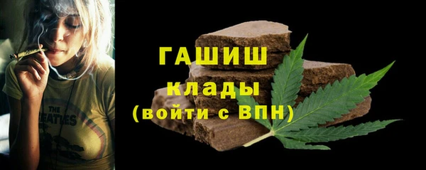ГАЛЛЮЦИНОГЕННЫЕ ГРИБЫ Богданович