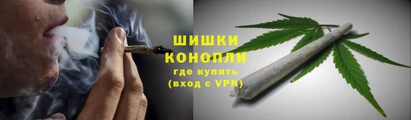 ГАЛЛЮЦИНОГЕННЫЕ ГРИБЫ Богданович