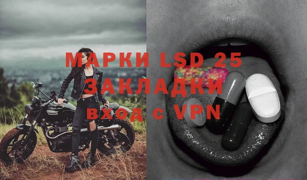 ГАЛЛЮЦИНОГЕННЫЕ ГРИБЫ Богданович