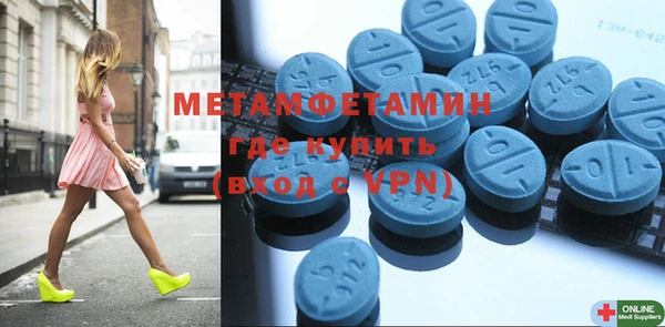 ГАЛЛЮЦИНОГЕННЫЕ ГРИБЫ Богданович