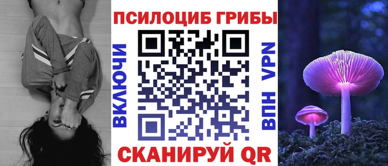 купить наркотик  ссылка на мегу сайт  дарк нет какой сайт  Волгореченск  Галлюциногенные грибы Psilocybe 